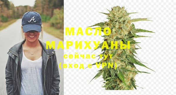 крисы Верхний Тагил