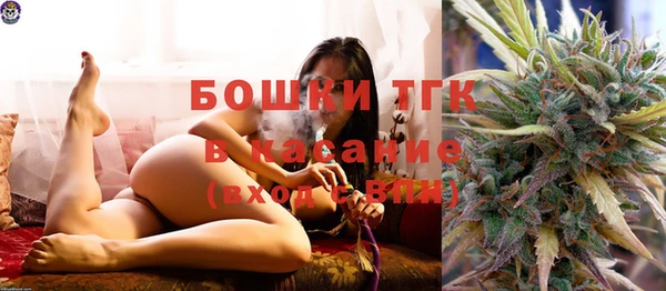 крисы Верхний Тагил
