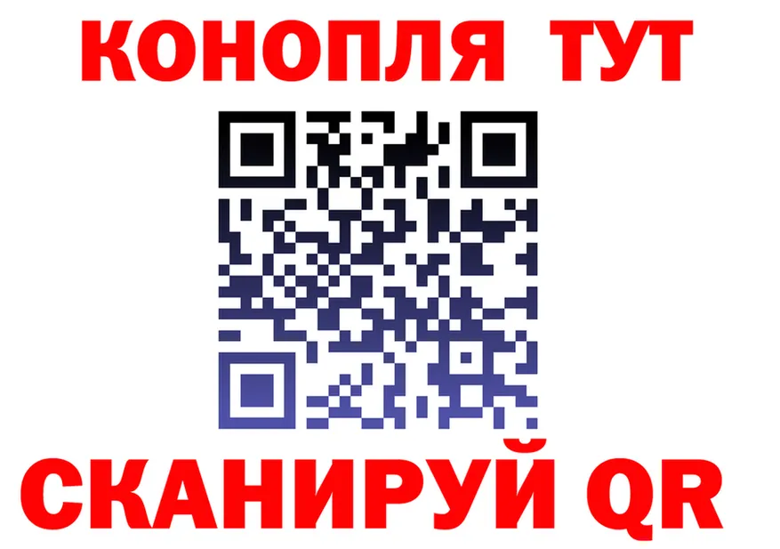 A-PVP СК КРИС вход площадка OMG Щучье