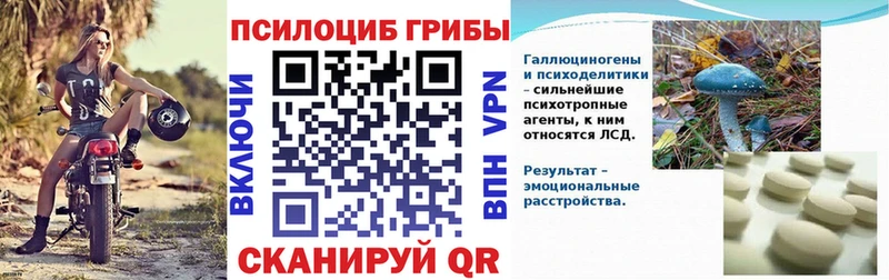 закладки  omg tor  Галлюциногенные грибы MAGIC MUSHROOMS  Щучье 